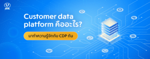 customer data platform cdp with data source